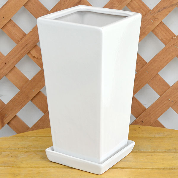 スクエア陶器鉢M ホワイト 6号サイズ