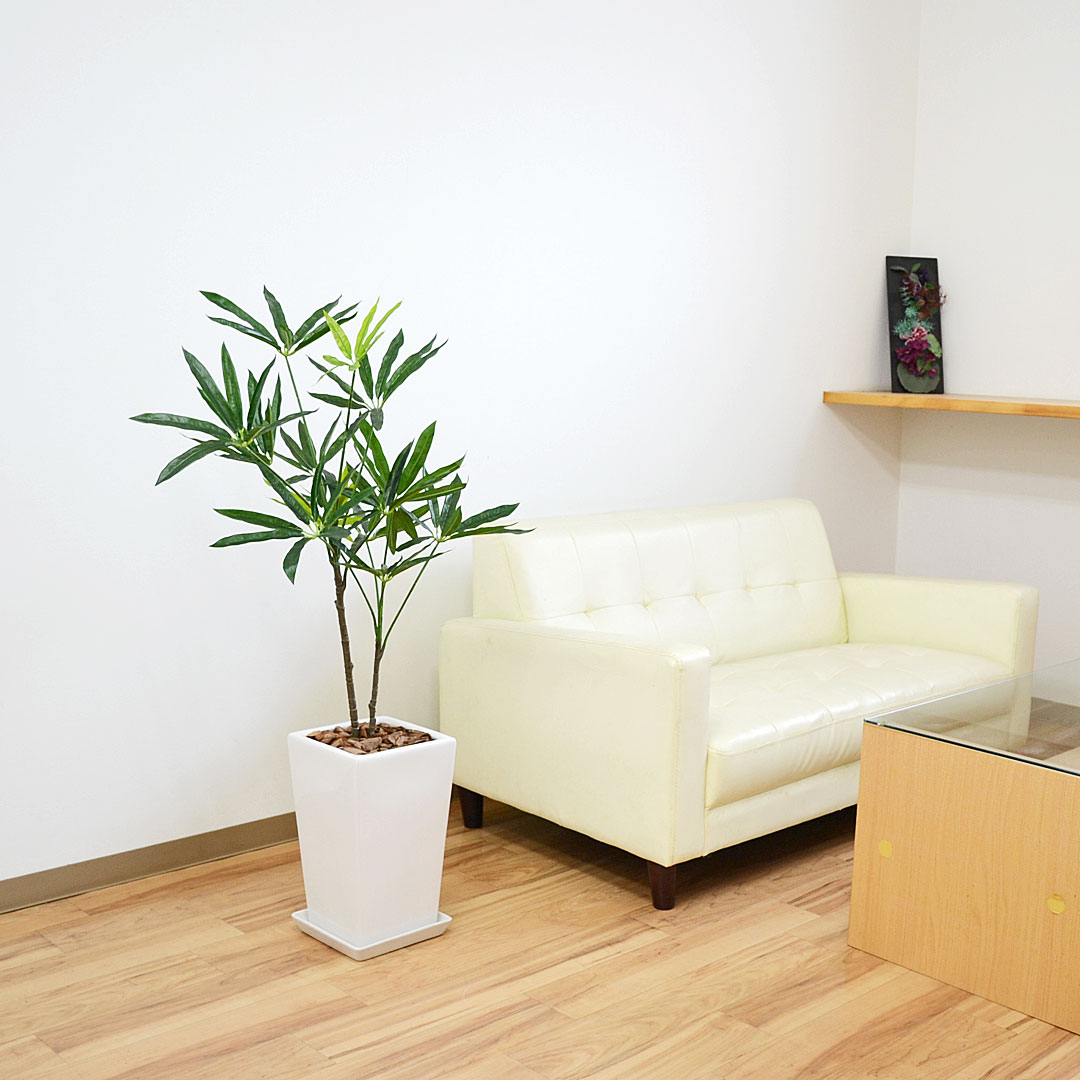 人工観葉植物 シェフレラ 陶器鉢 イメージ