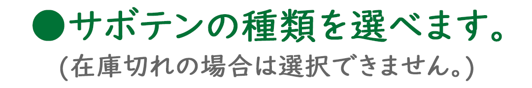 選べるサボテンの種類