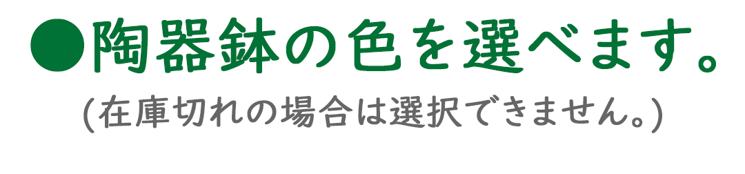 選べる陶器鉢の種類