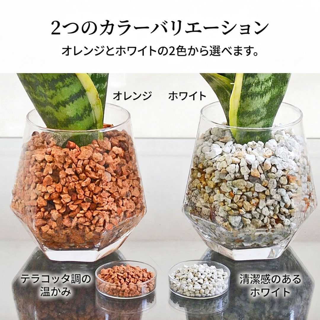 観葉植物 ハイドロカルチャー ヘキサグラス ゼオライト 3鉢セット 選べるゼオライトの色