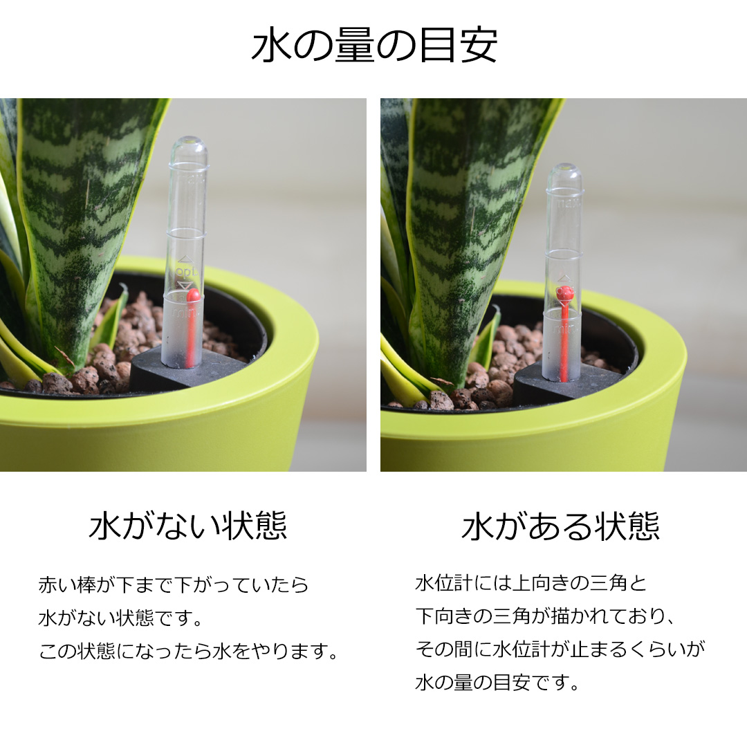 観葉植物 ハイドロ 3鉢セット 水の量の目安