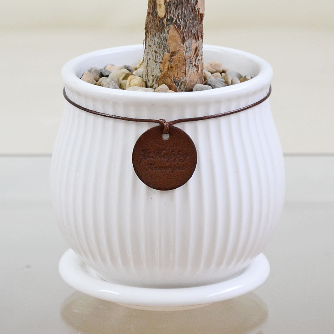 観葉植物 タグ付き陶器鉢 陶器鉢の拡大