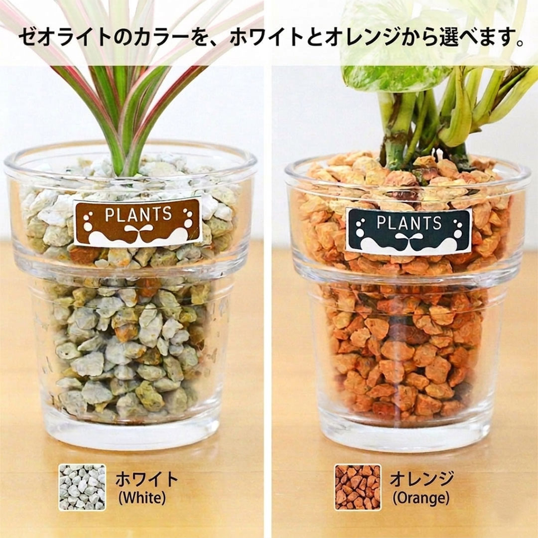 ミニ観葉植物 ハイドロカルチャー ゼオライト 4鉢セット ゼオライトの色