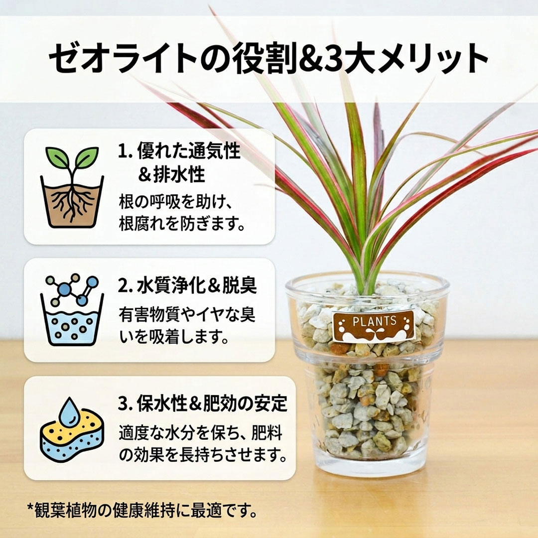 ミニ観葉植物 ハイドロカルチャー ゼオライト 4鉢セット ゼオライトの説明