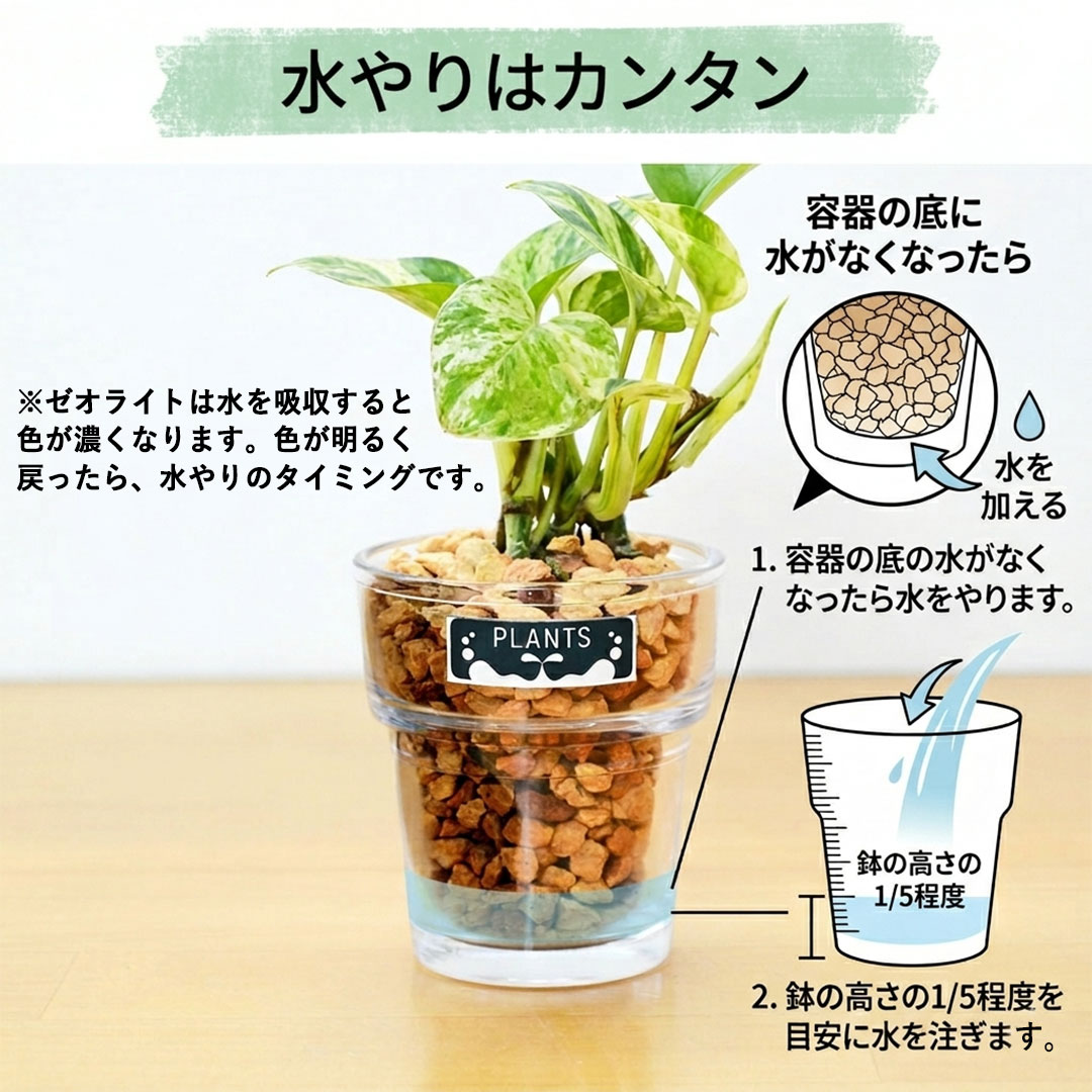 ミニ観葉植物 ハイドロカルチャー ゼオライト 4鉢セット ゼオライトの水やり説明
